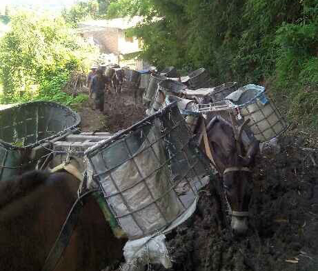 黄埔区马帮搬运