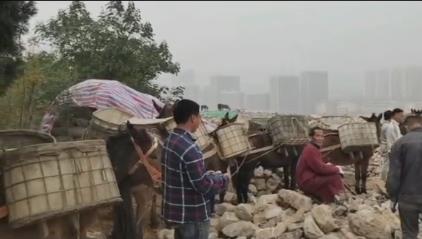 黄埔区骡马山区运输