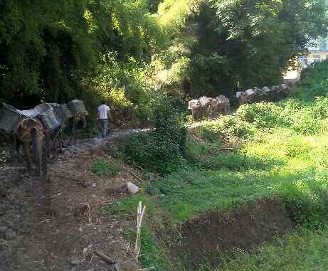 黄埔区马帮运输队