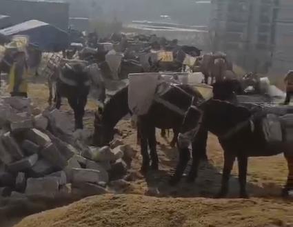 黄埔区马队山路运输