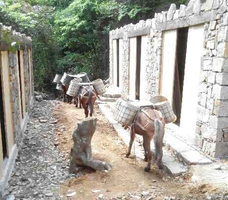 黄埔区马队运输队