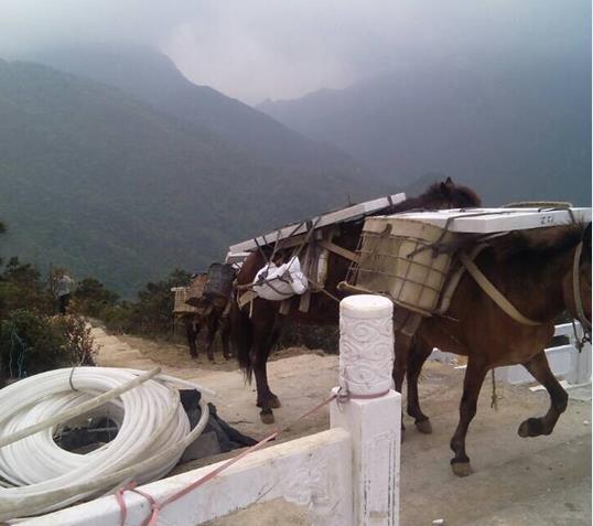 黄埔区山区马帮运输