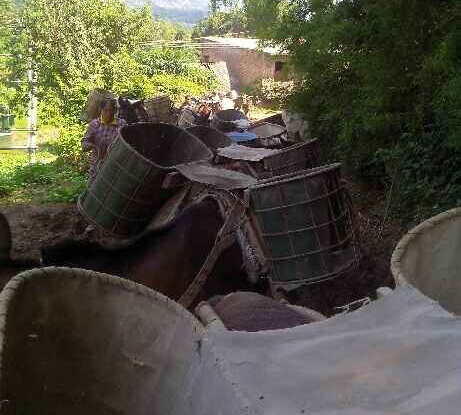 黄埔区骡马运输